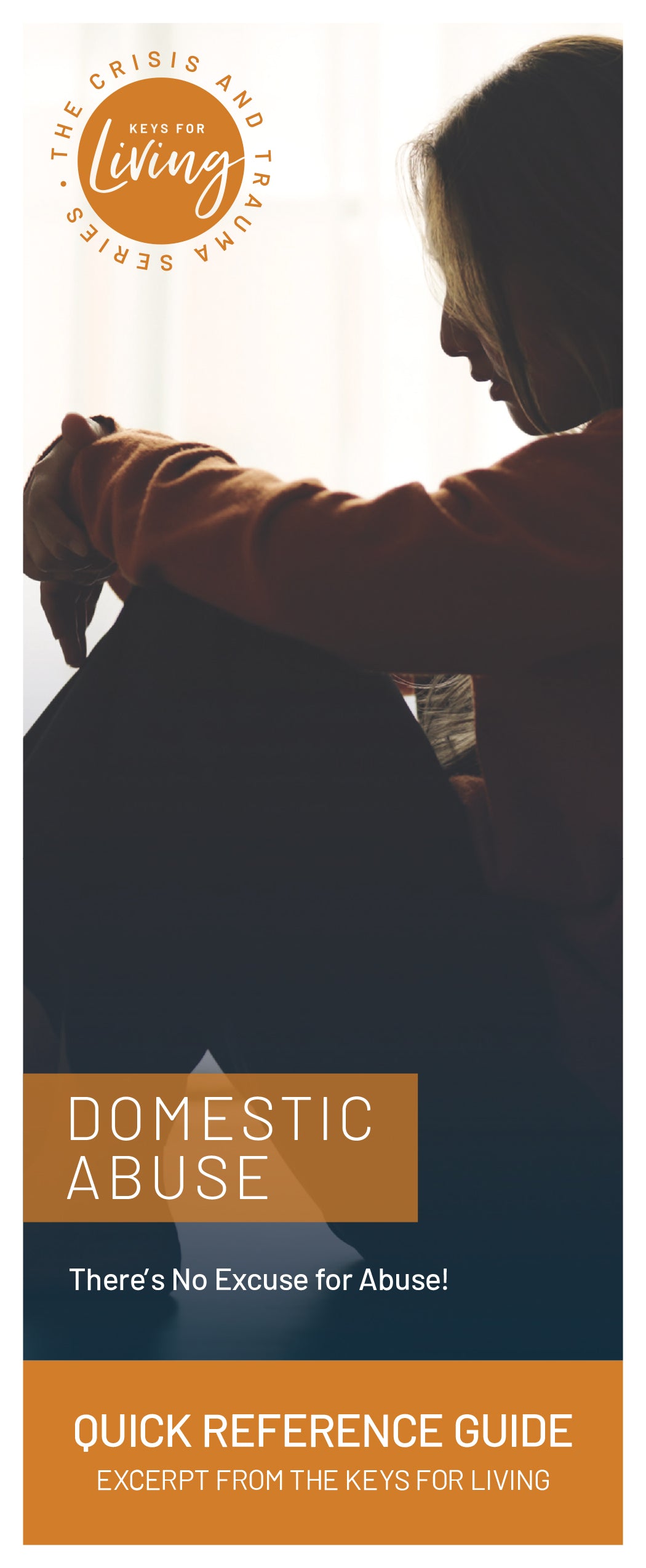 Quick Reference Guide on Domestic Violence (Pack of 25)