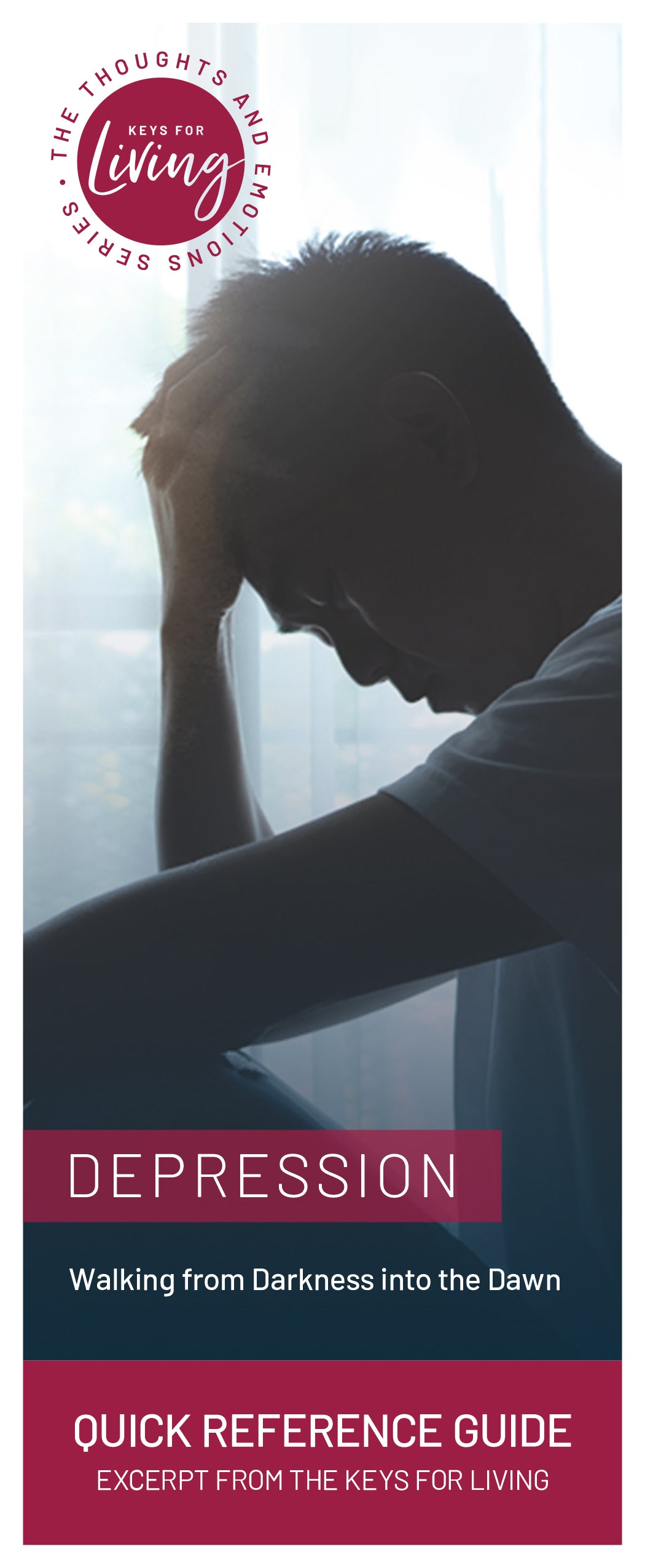 Quick Reference Guide on Depression (Pack of 25)