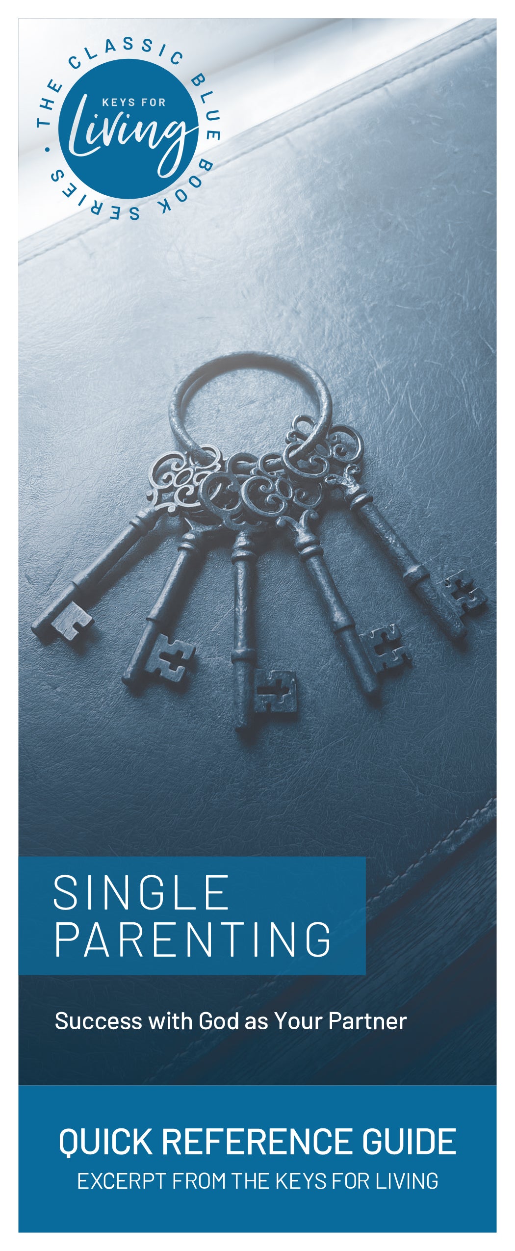 Quick Reference Guide on Single Parenting (Pack of 25)