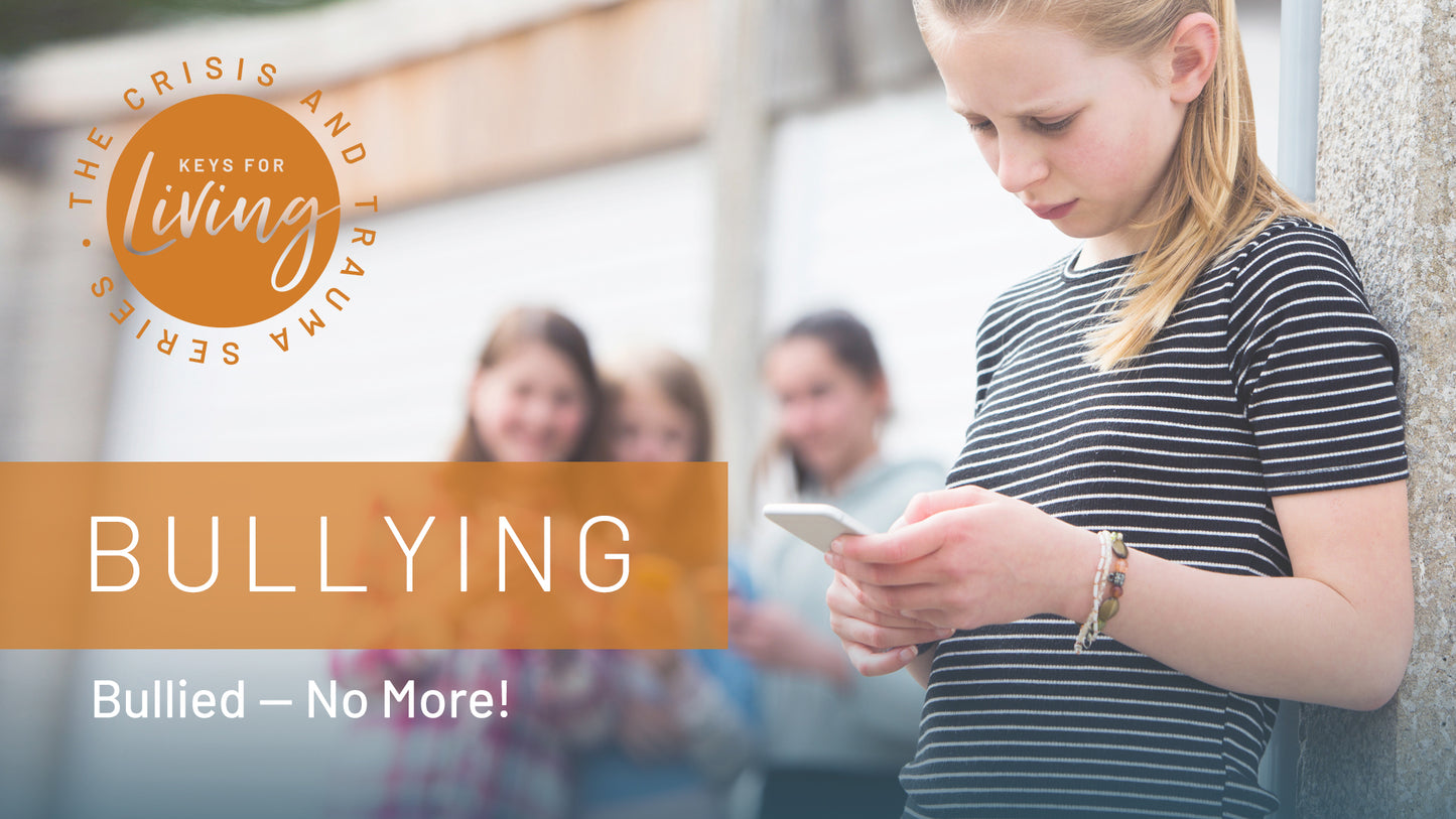 Bullying Video Course