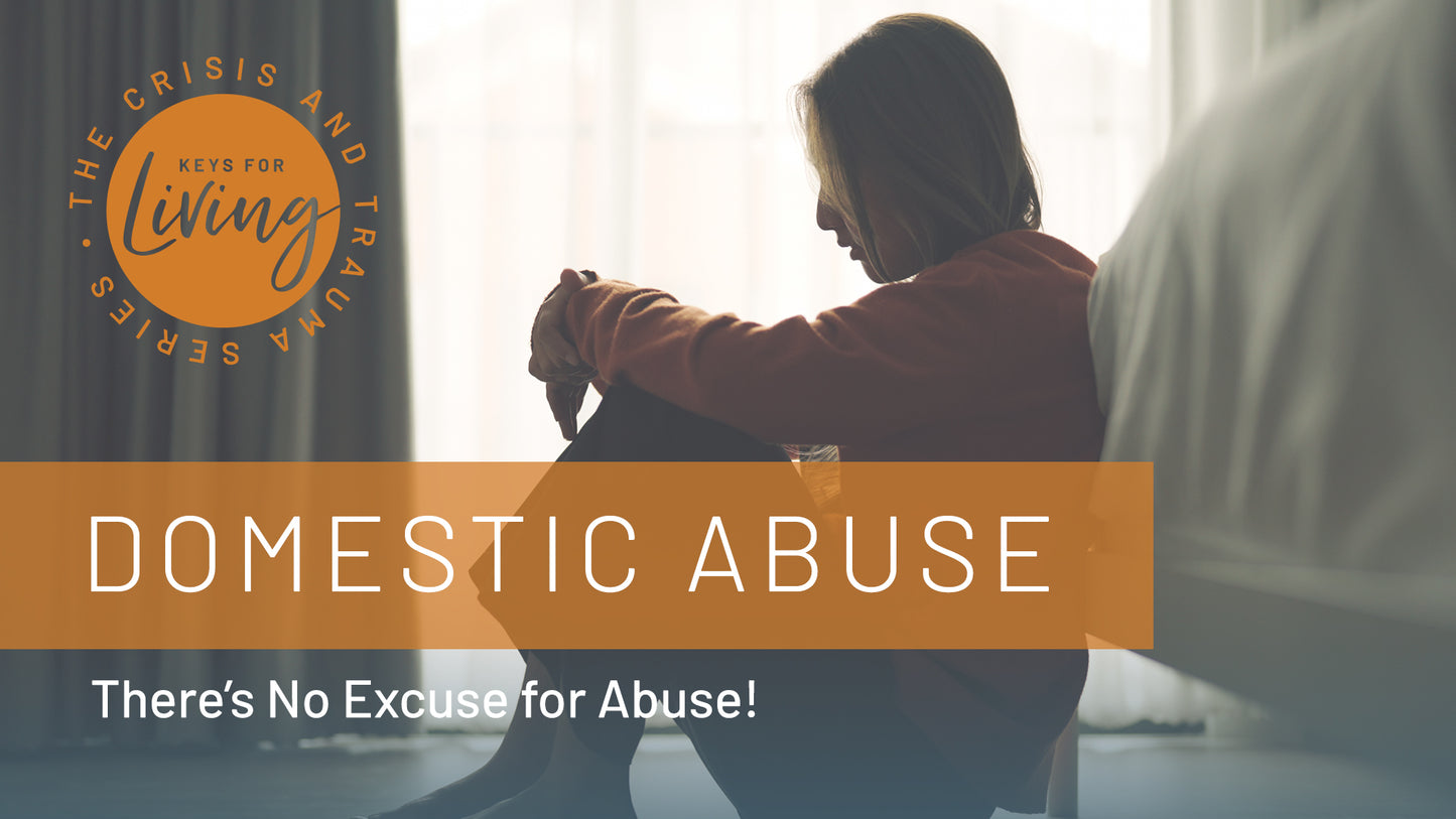 Domestic Abuse Video Course